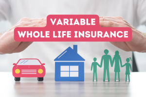 What Can Variable Whole Life Insurance Be Described As