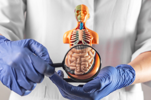 How Much Is A Colonoscopy Without Insurance?
