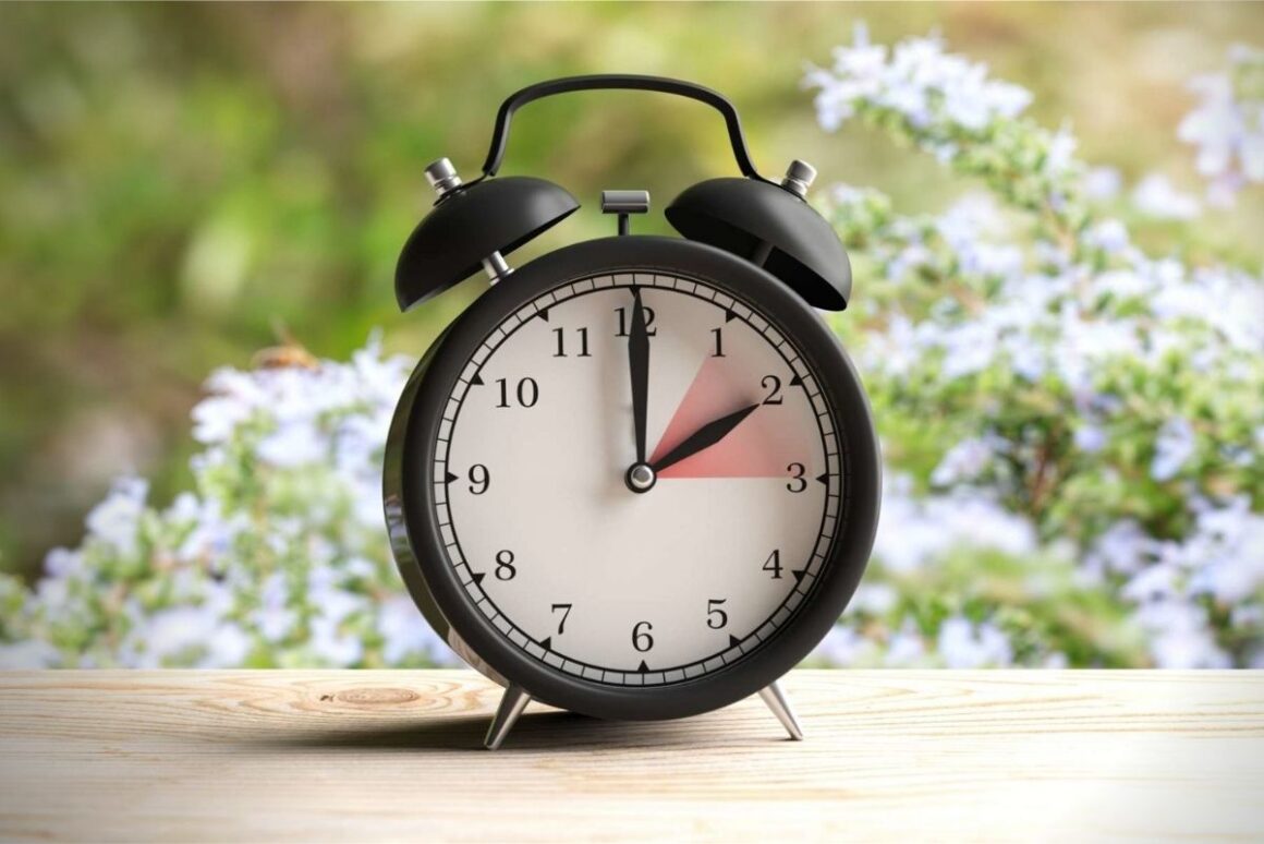 what-is-the-purpose-of-daylight-savings-time-insurance-noon