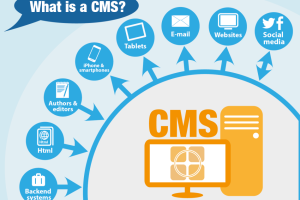 CMS
