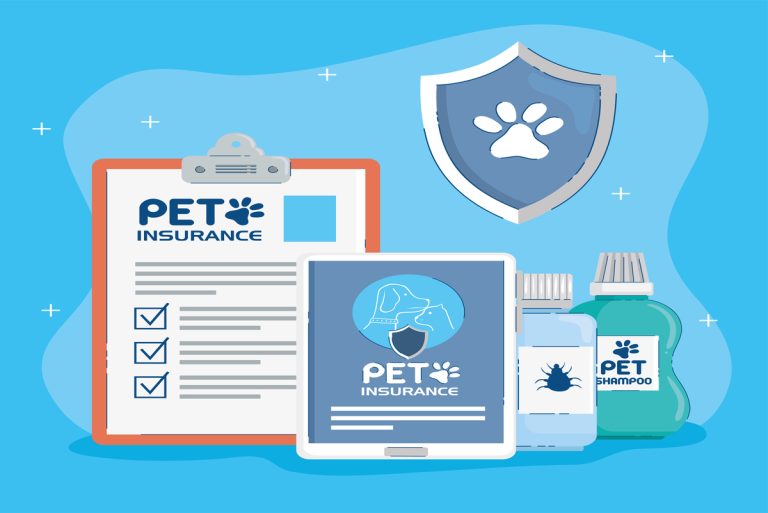 Understanding What Does National Insurance Pay For All One Needs To Know Insurance Noon