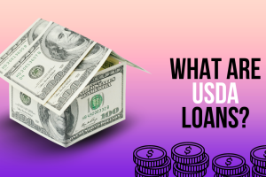 WHAT ARE USDA LOADS